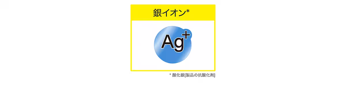 画像11