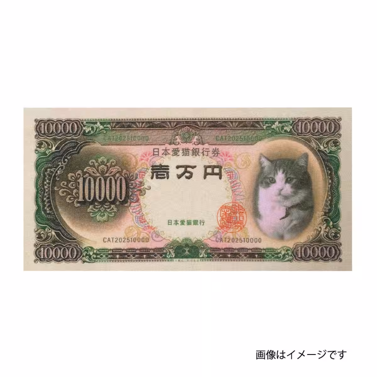 画像10