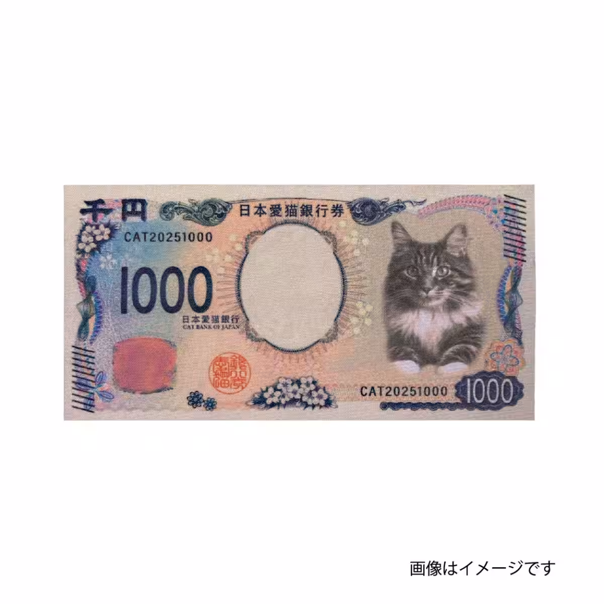 画像9