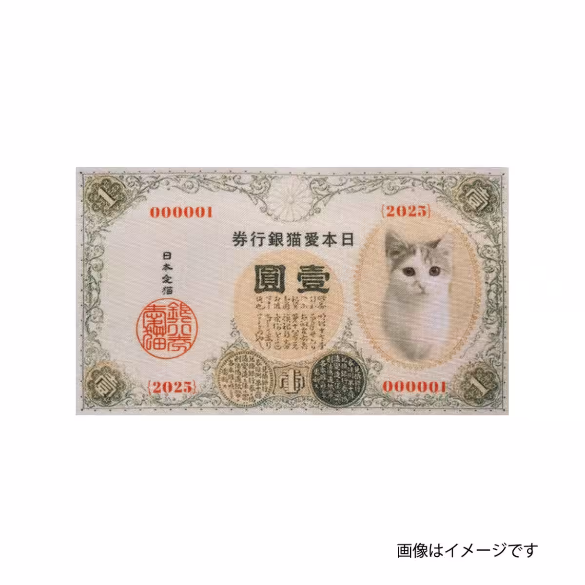 画像11