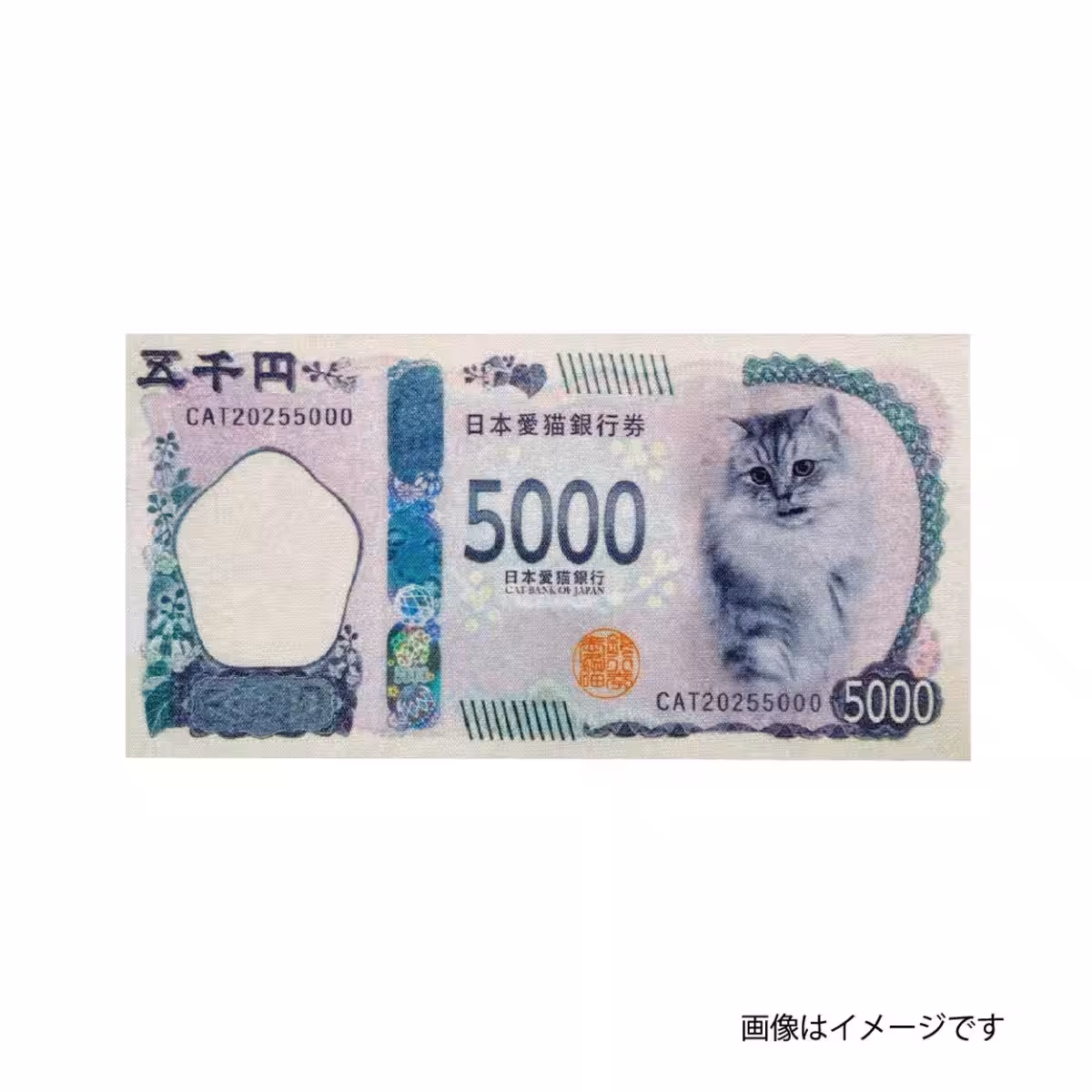 画像8