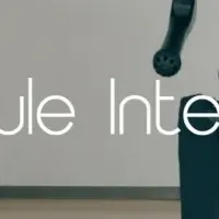 カプセルインタフェース