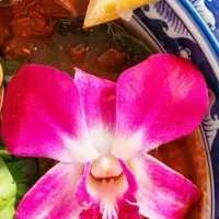 新メニュー登場