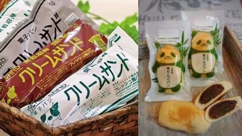 画像7