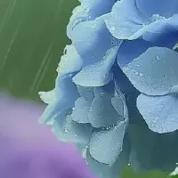 夏の外貨両替がお得！