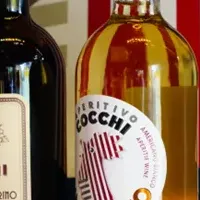 COCCHI日本再上陸