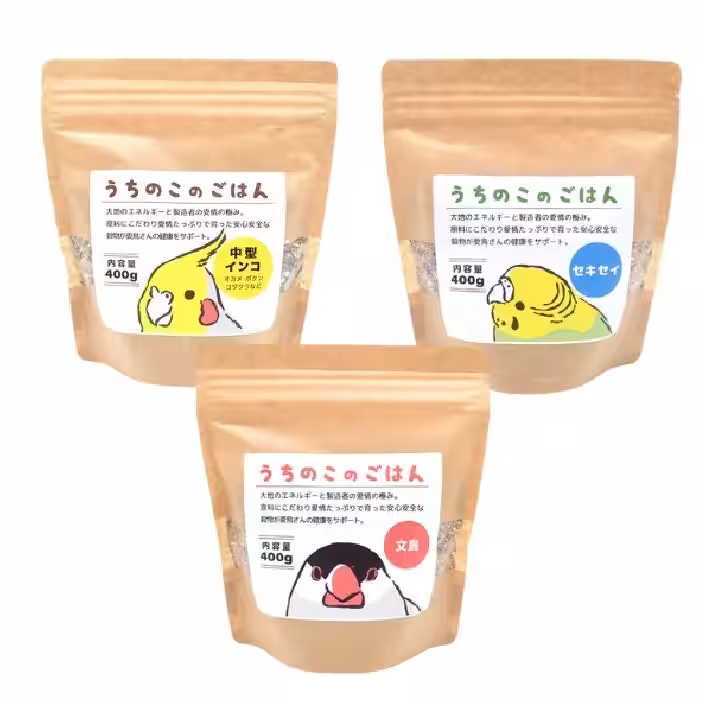 画像10