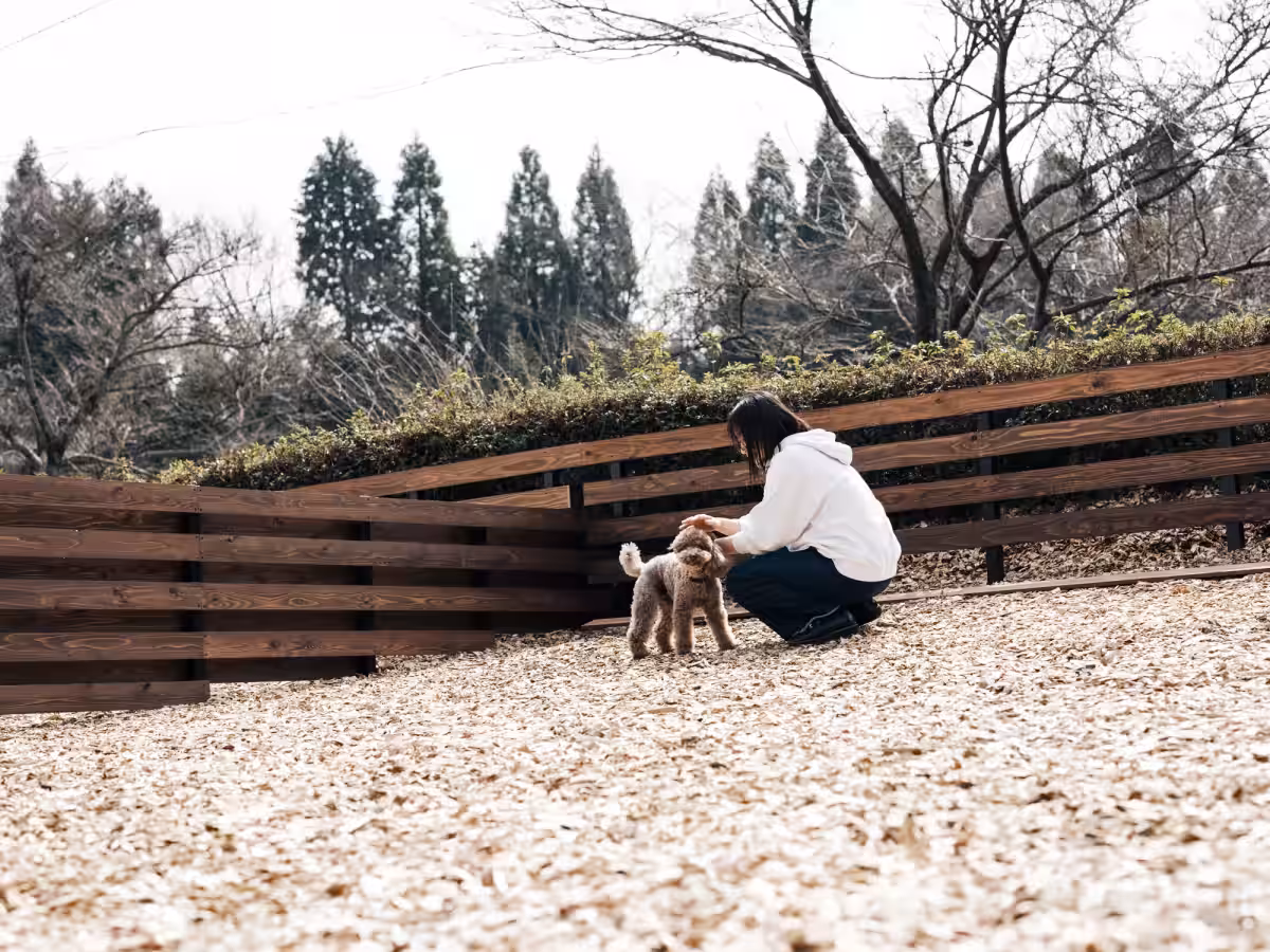画像10