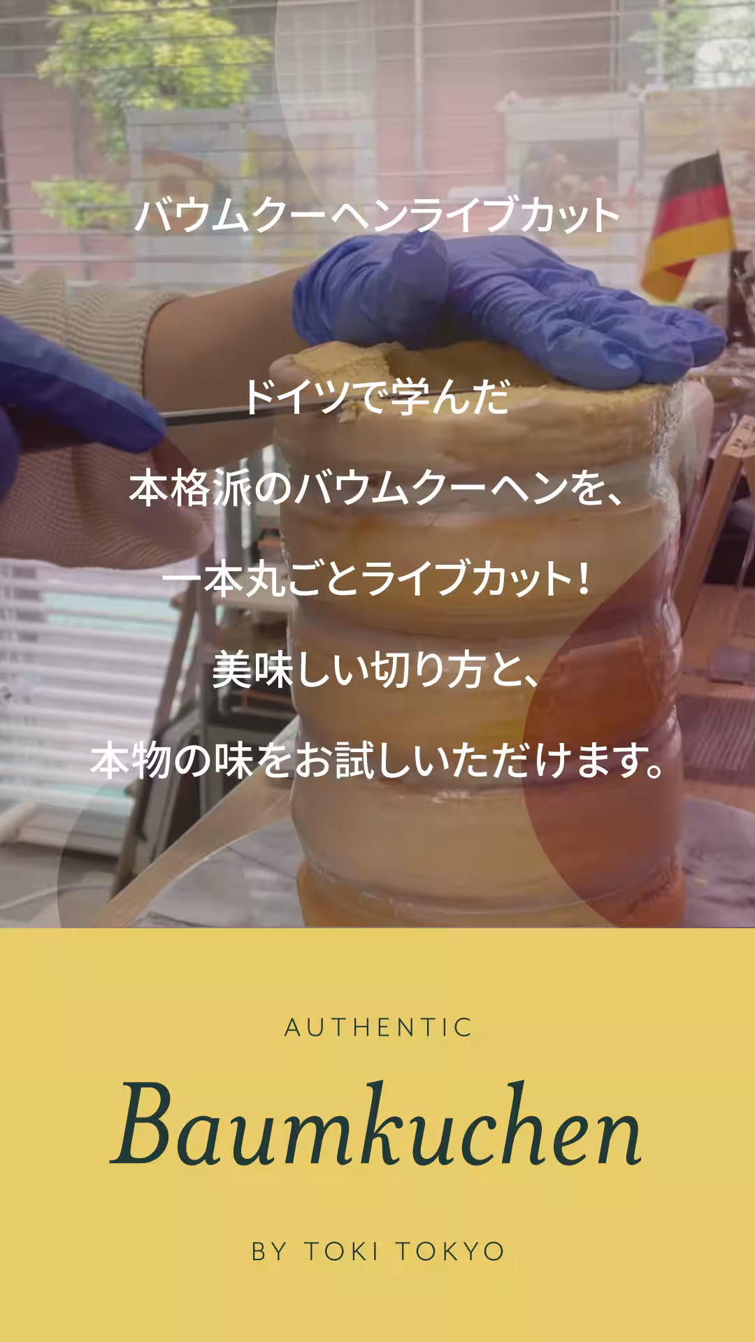 画像15