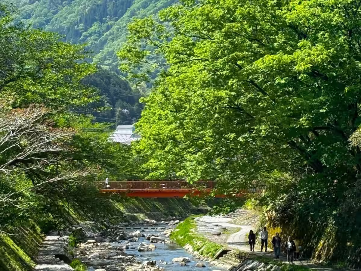 画像13
