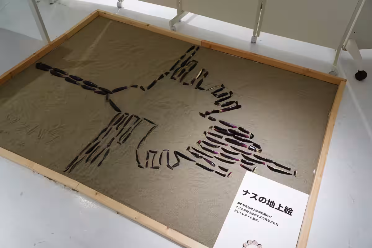 画像8