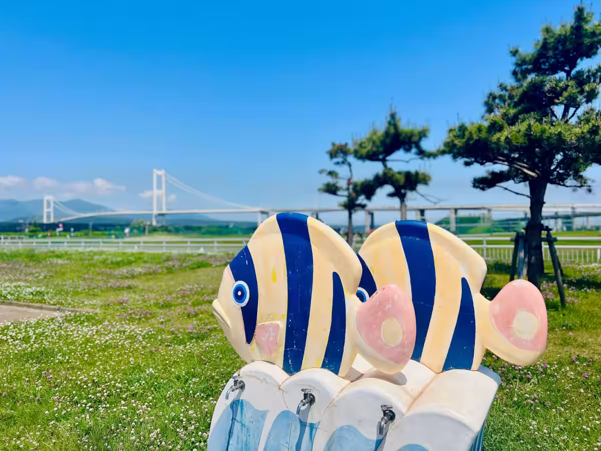 画像4
