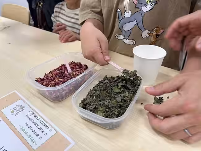 画像12