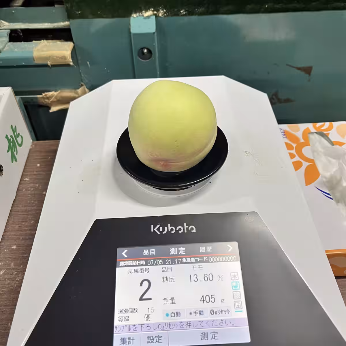 画像13