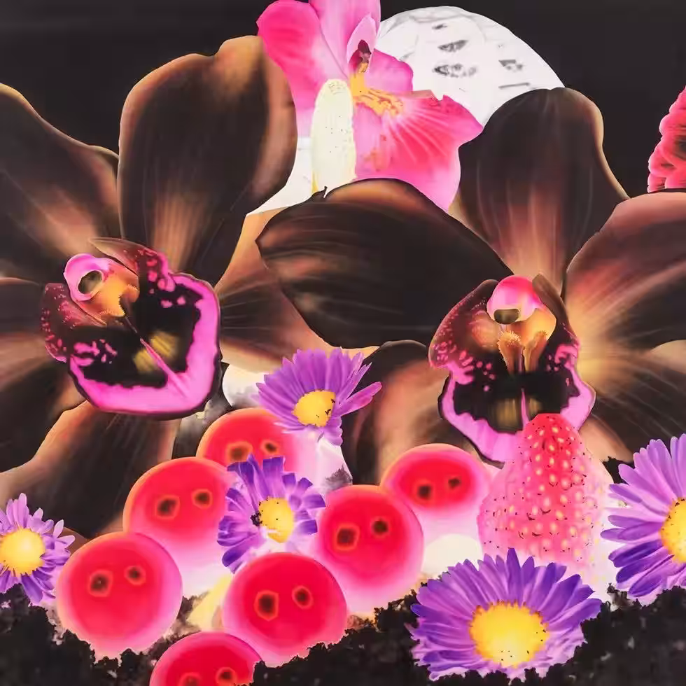 画像23