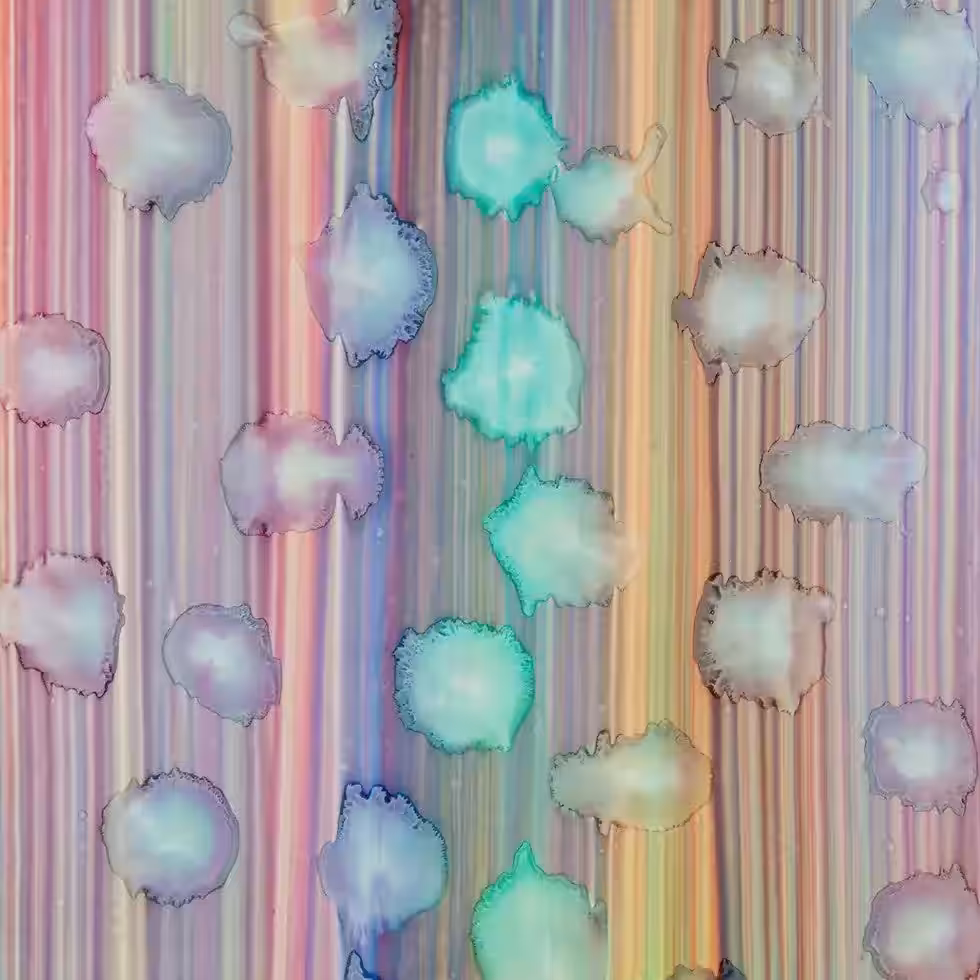 画像21