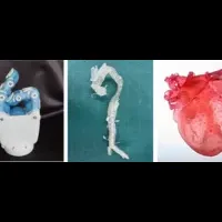 新たな3Dプリンター材料