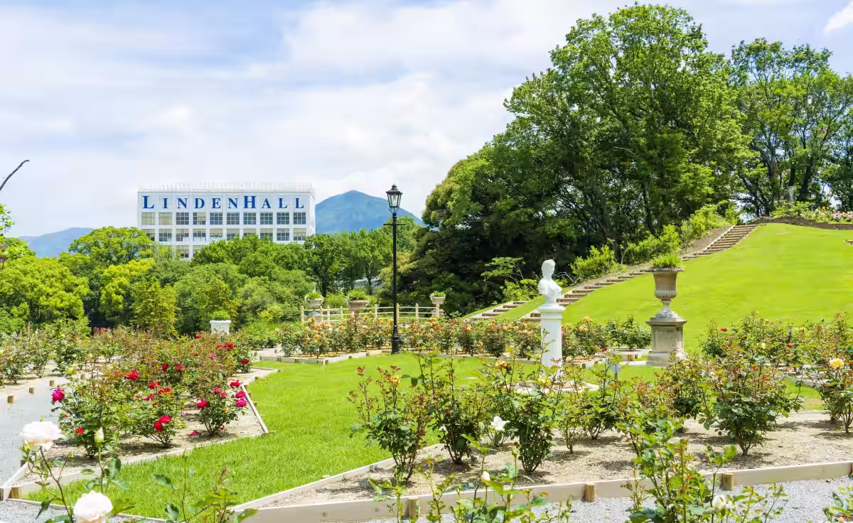 画像12