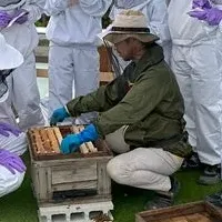 養蜂教育の未来