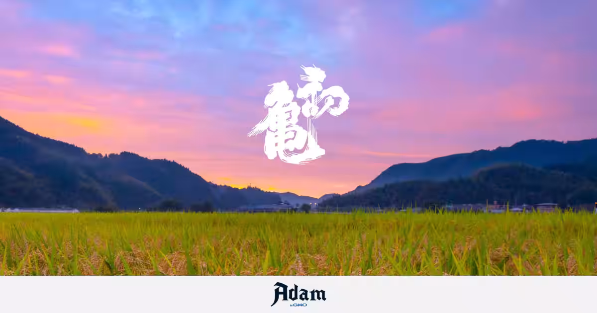 画像1