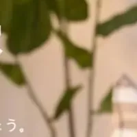 Temuの事業者募集