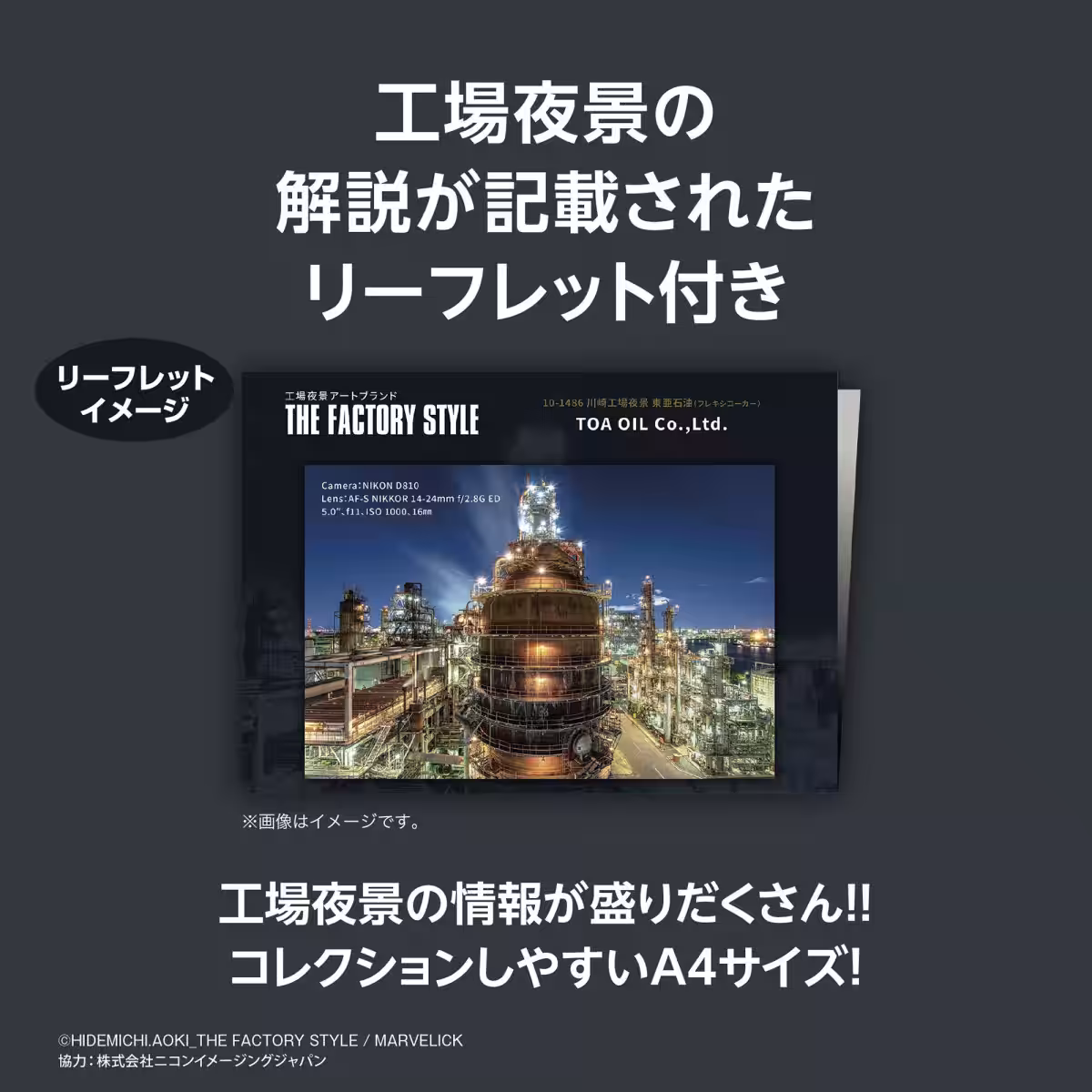 画像5