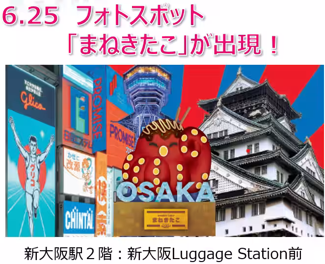画像12