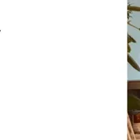 文化多様性認証