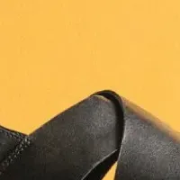 新登場「アリステラサン」