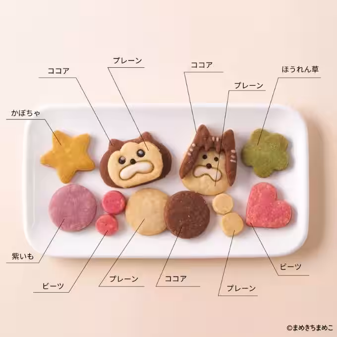 画像5