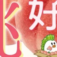 JAタウンの桃特集