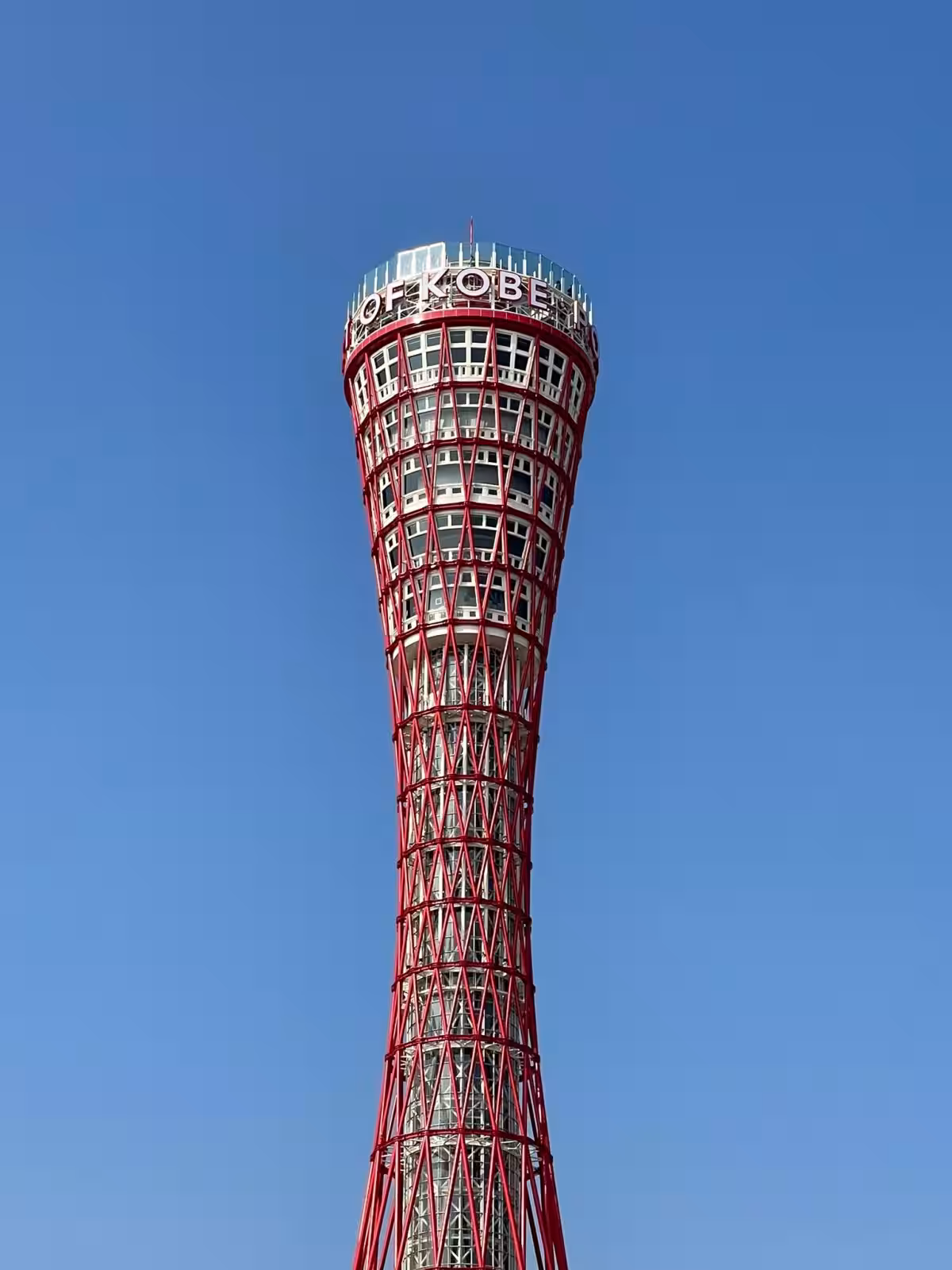 画像12