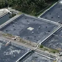 気候スマートエビ成功