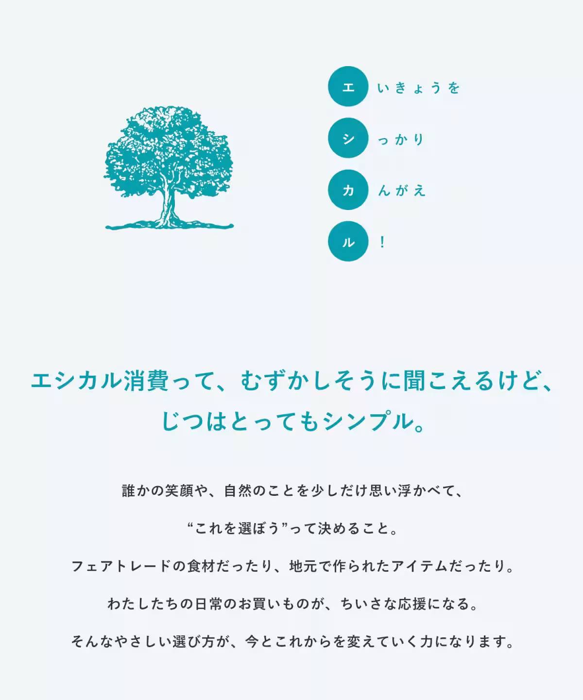 画像12