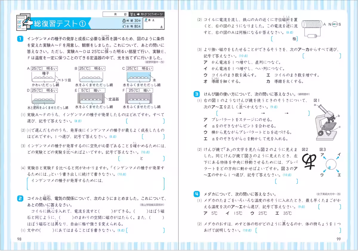 画像8