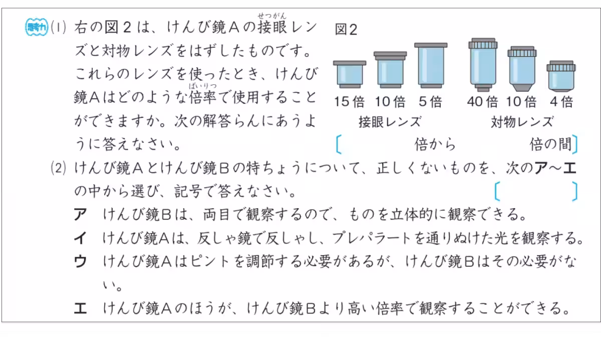 画像11
