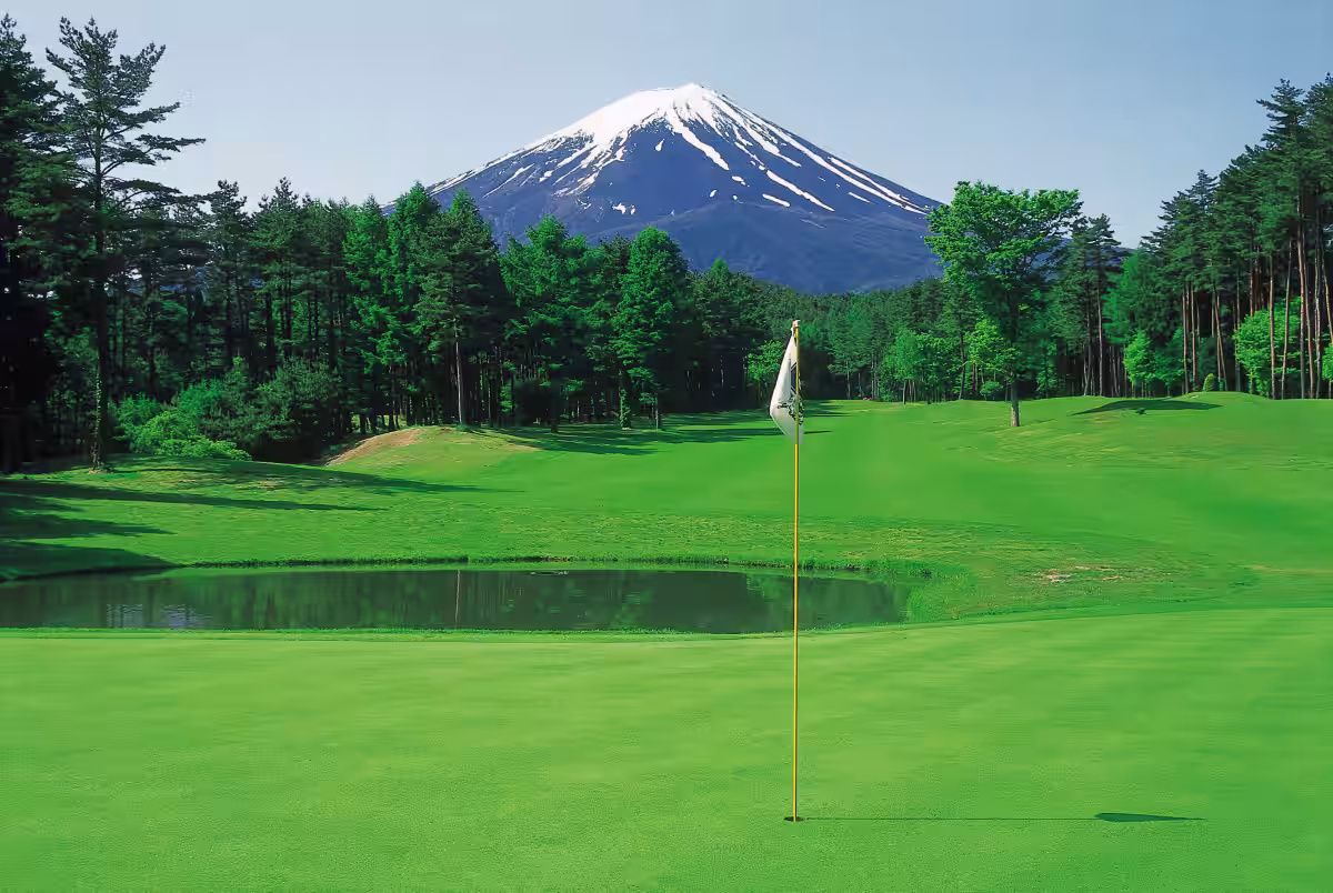 画像12