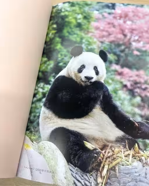 画像2