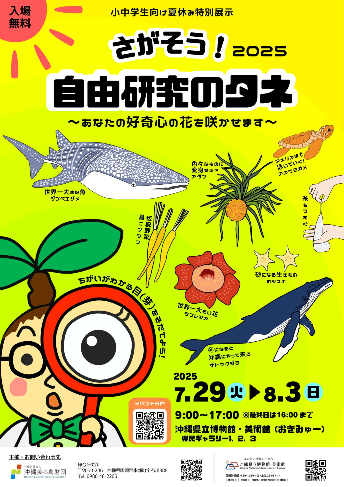夏休みにぴったり！沖縄で自由研究の種を探そう - サードニュース