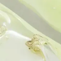 アボリジナル女性作家展