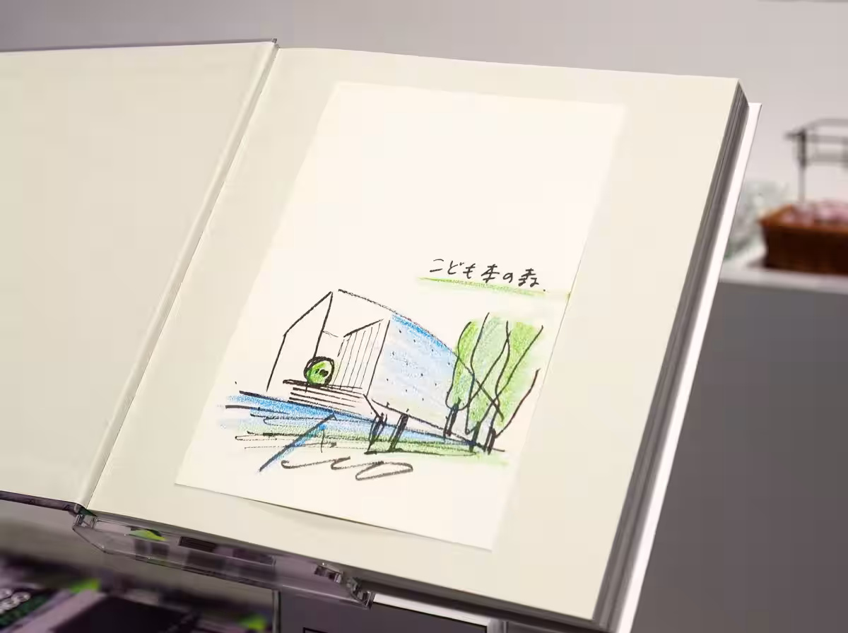 画像7