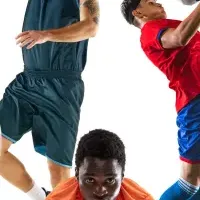 中央競技団体の現状