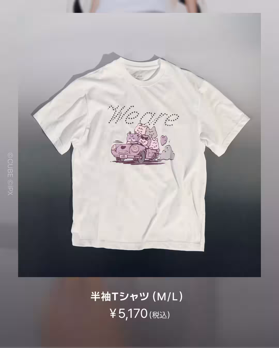 画像12