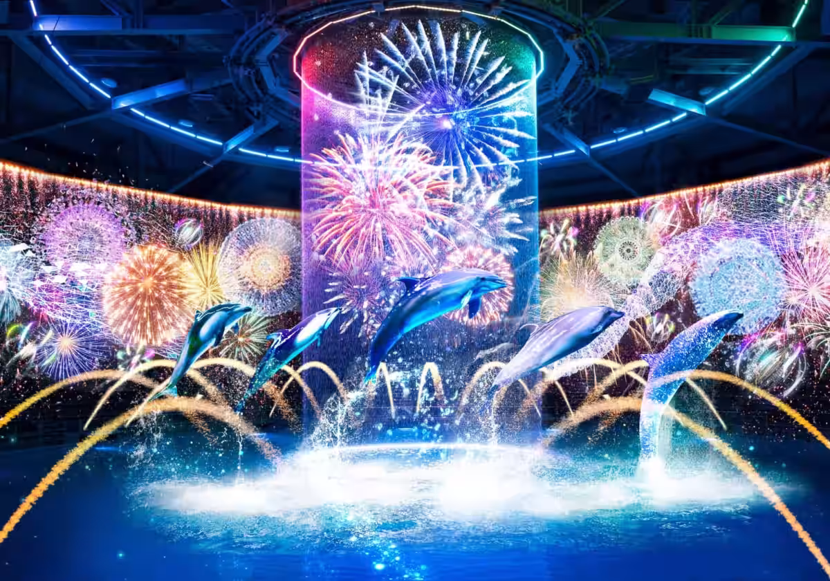 画像8