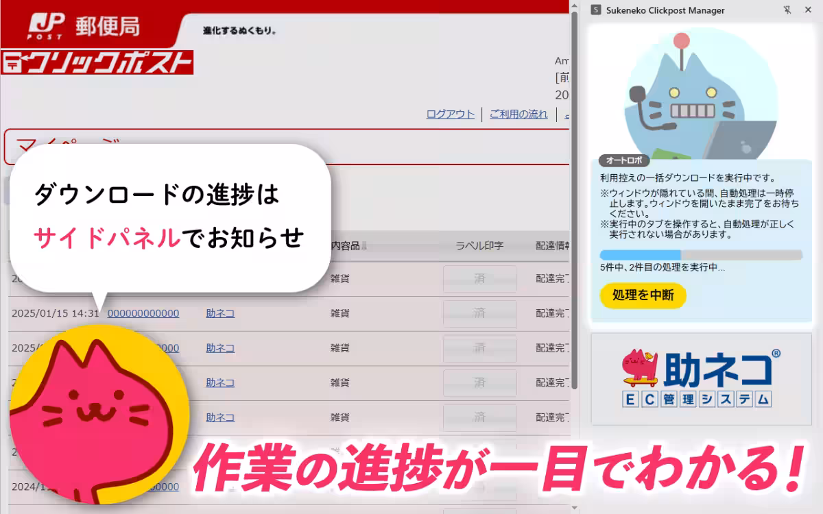 画像4