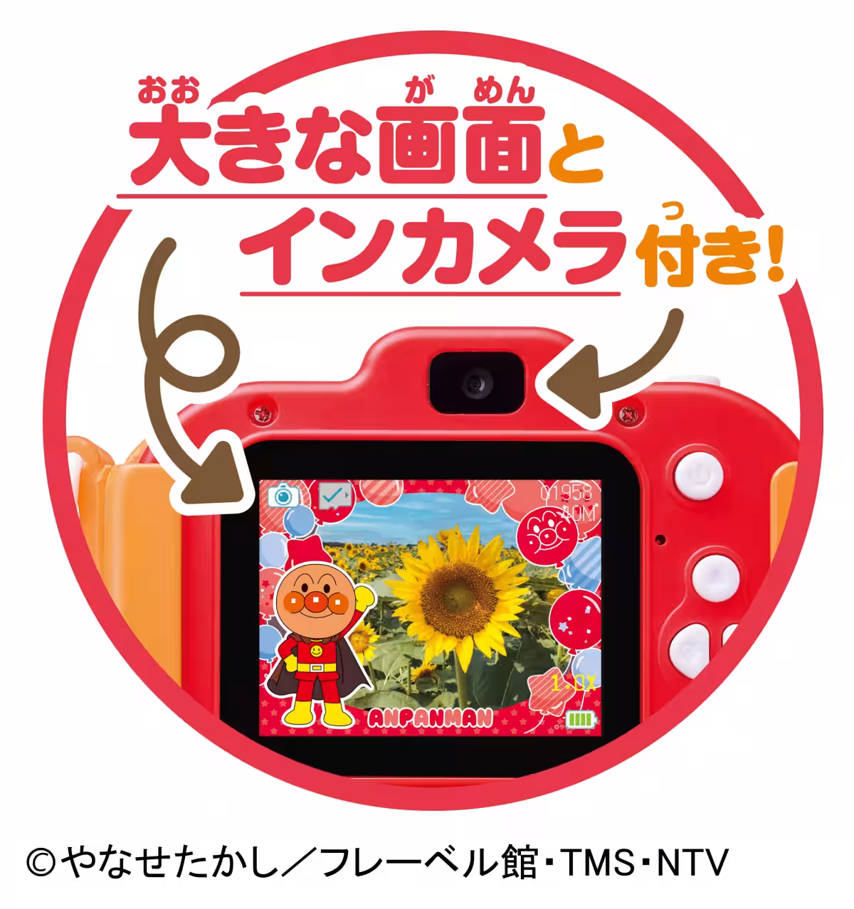 画像5