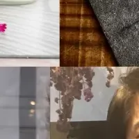 北陸のスイーツ祭り