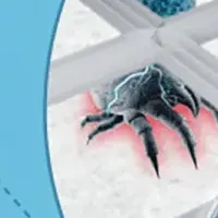 梅雨の寝具対策