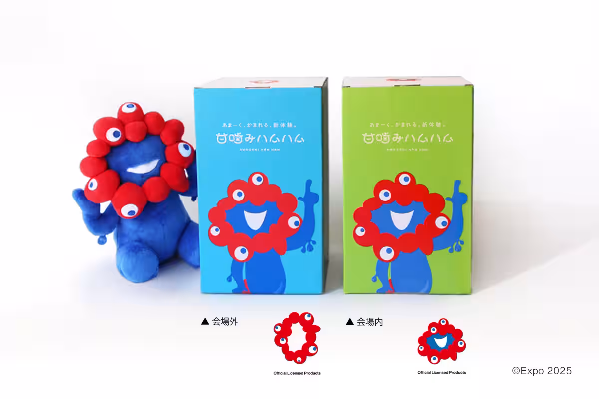 画像5