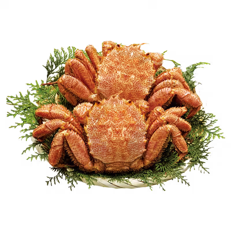 画像10